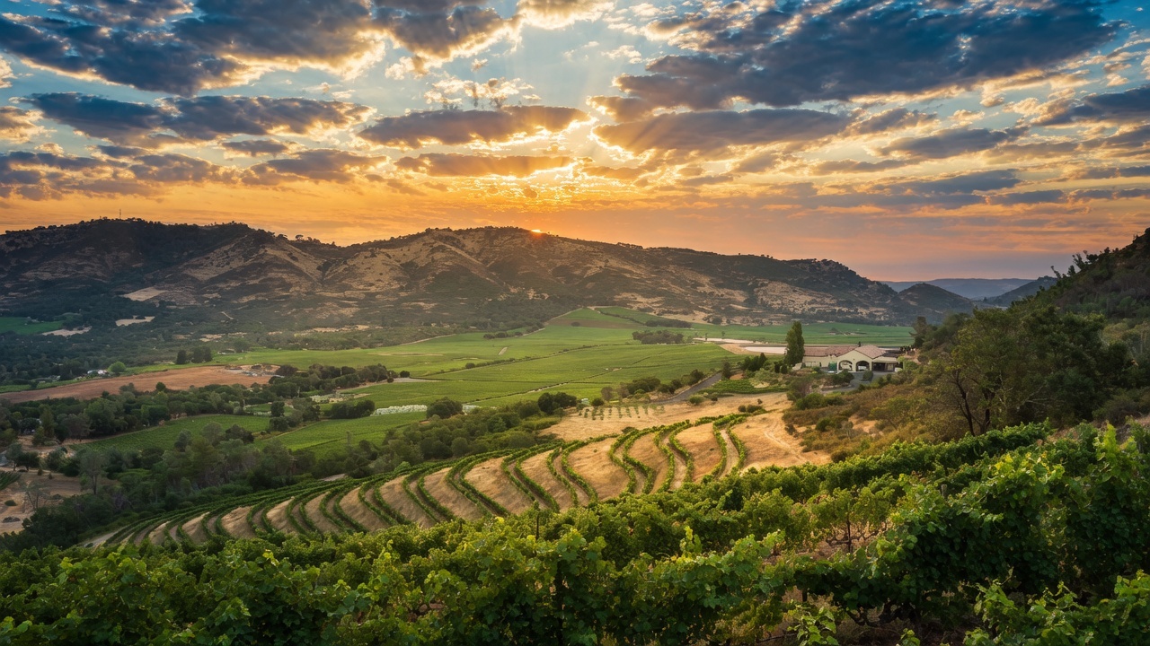Sunset over Napa Valley mountain vineyards