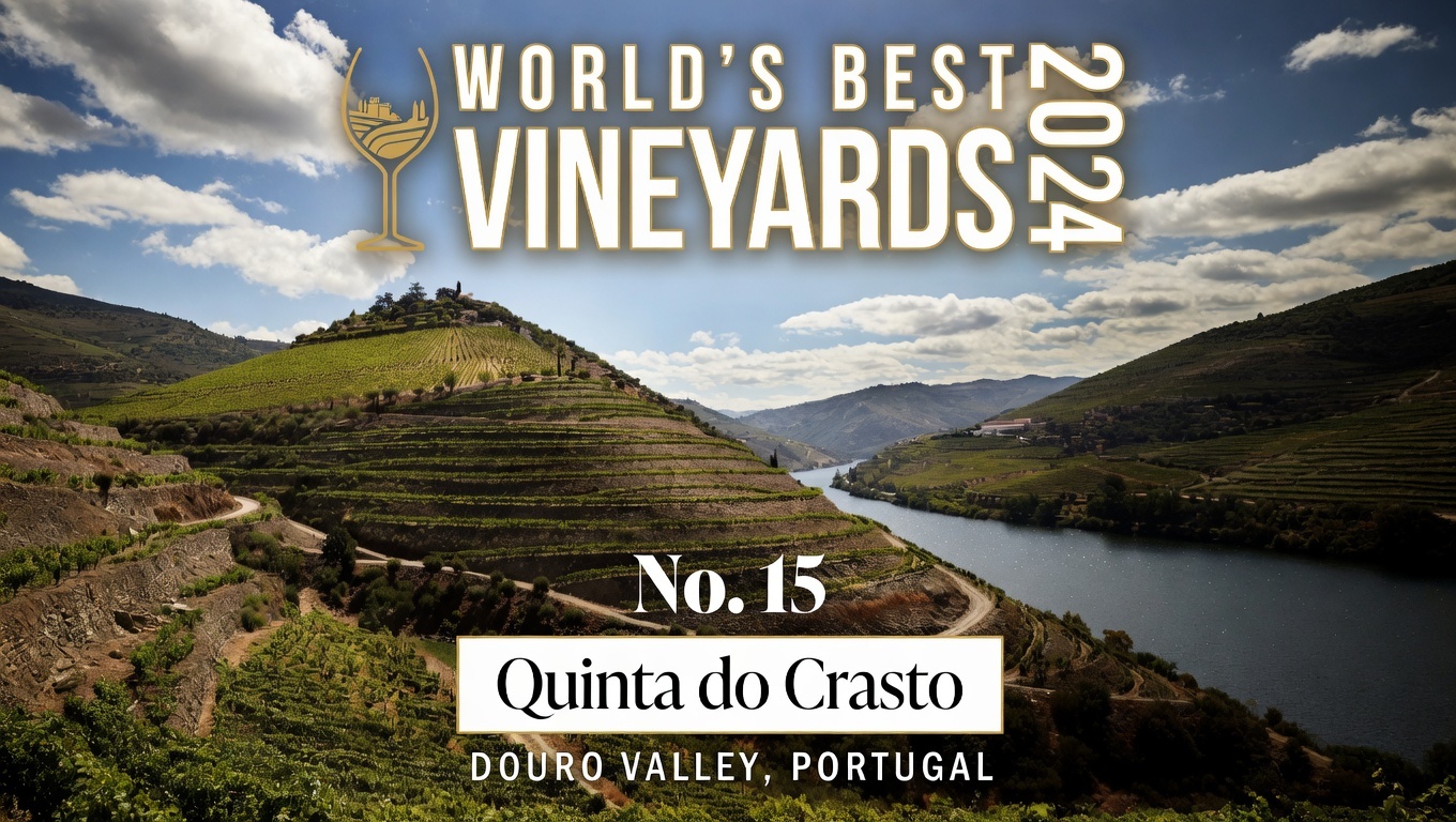 Douro old-vine vineyard landscape