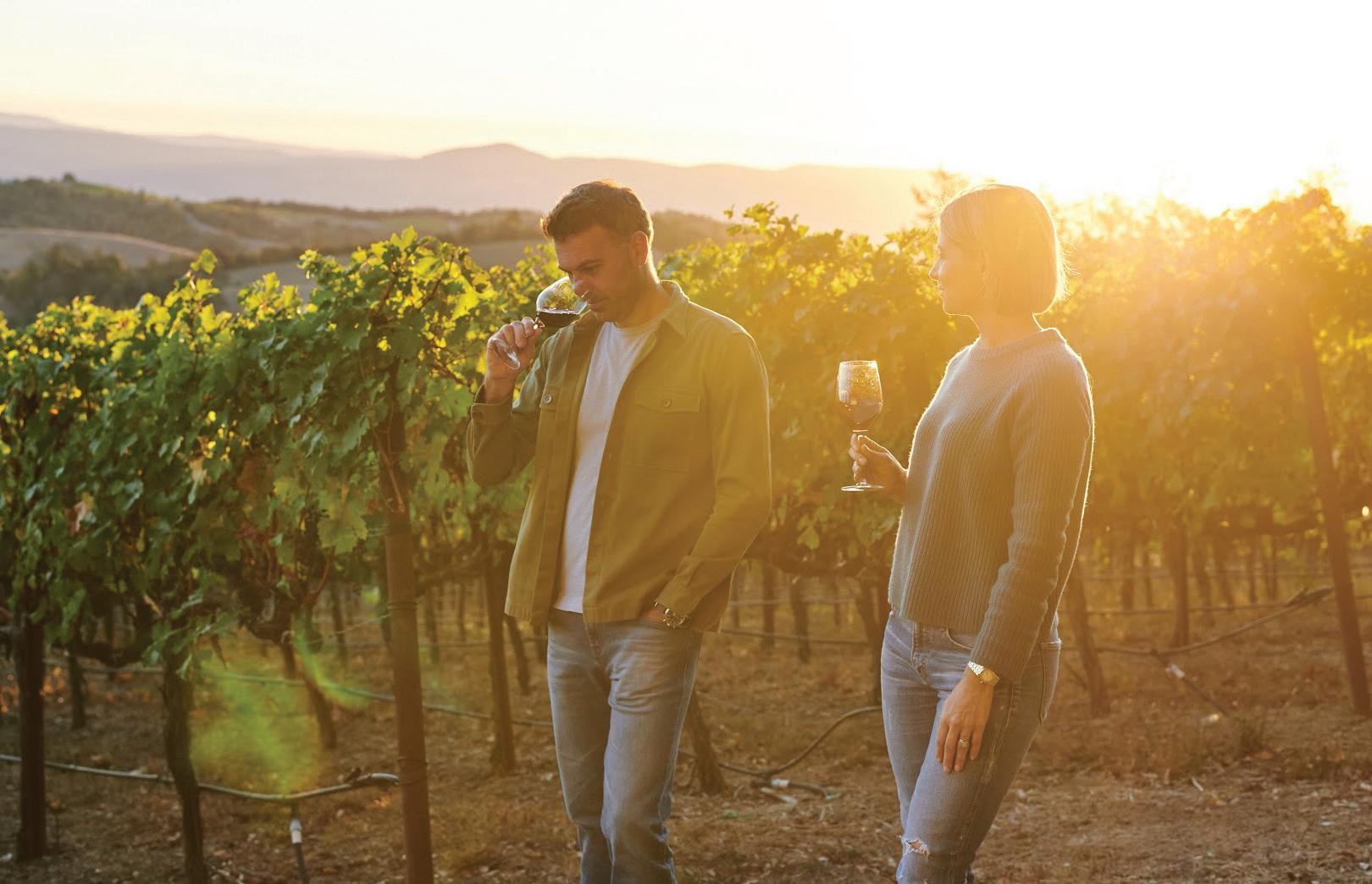 Hess Vineyard
