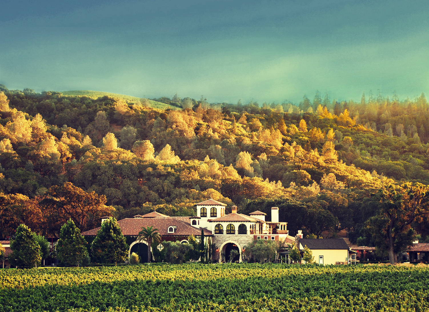 High Valley Landscape