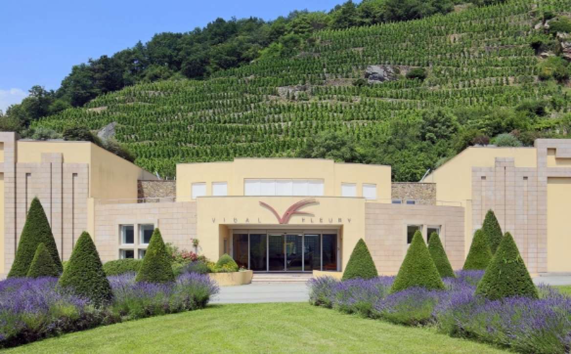 Vidal-Fleury Cellar