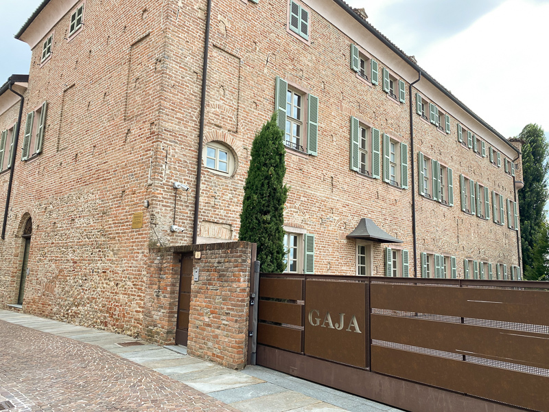 Gaja Vineyard