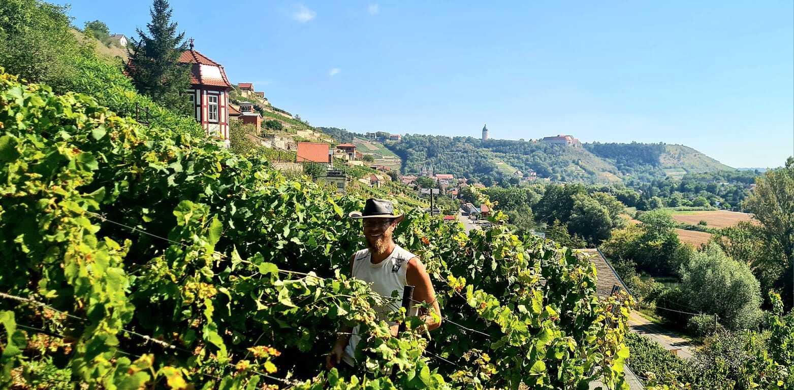 Wine philosophy and cellar story visual