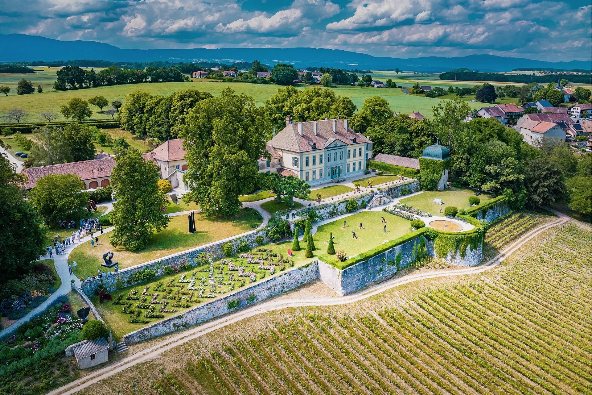 Goldschmidt Vineyard