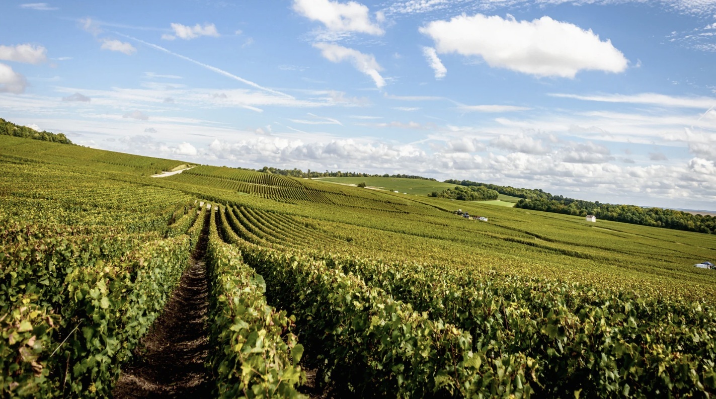 Lanson Heritage