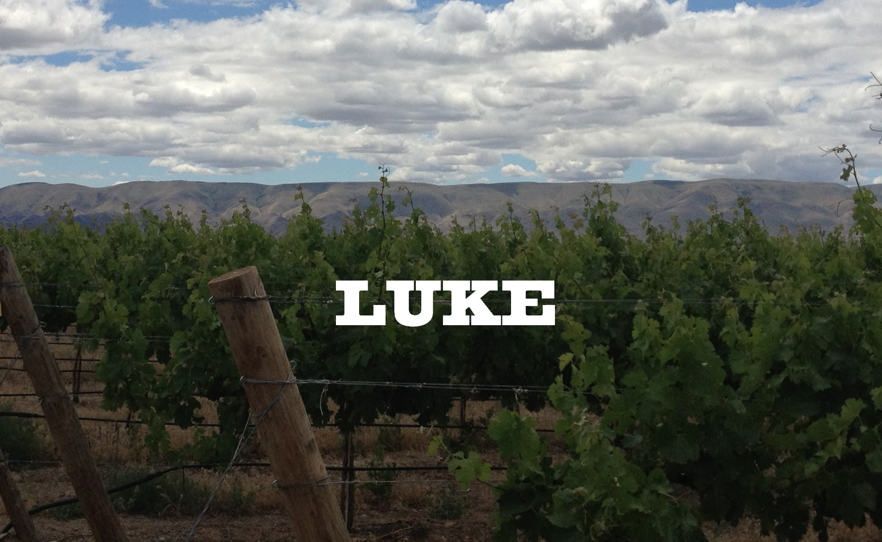 Luke Winemaking