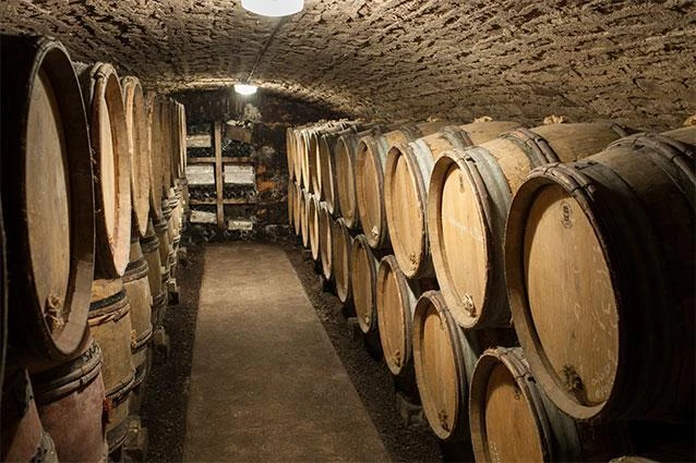 Burgundy domaine cellar aging Pinot Noir