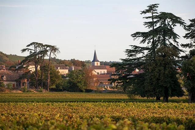 Cote de Nuits vineyard landscape
