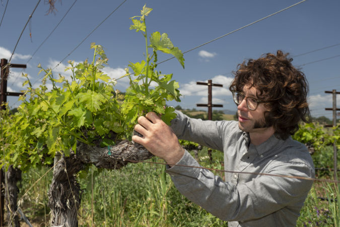 Winemaker Nick Gislason
