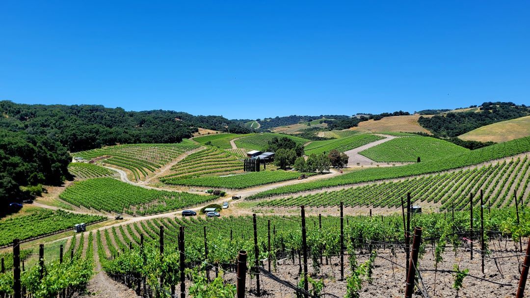 Paso Robles landscape