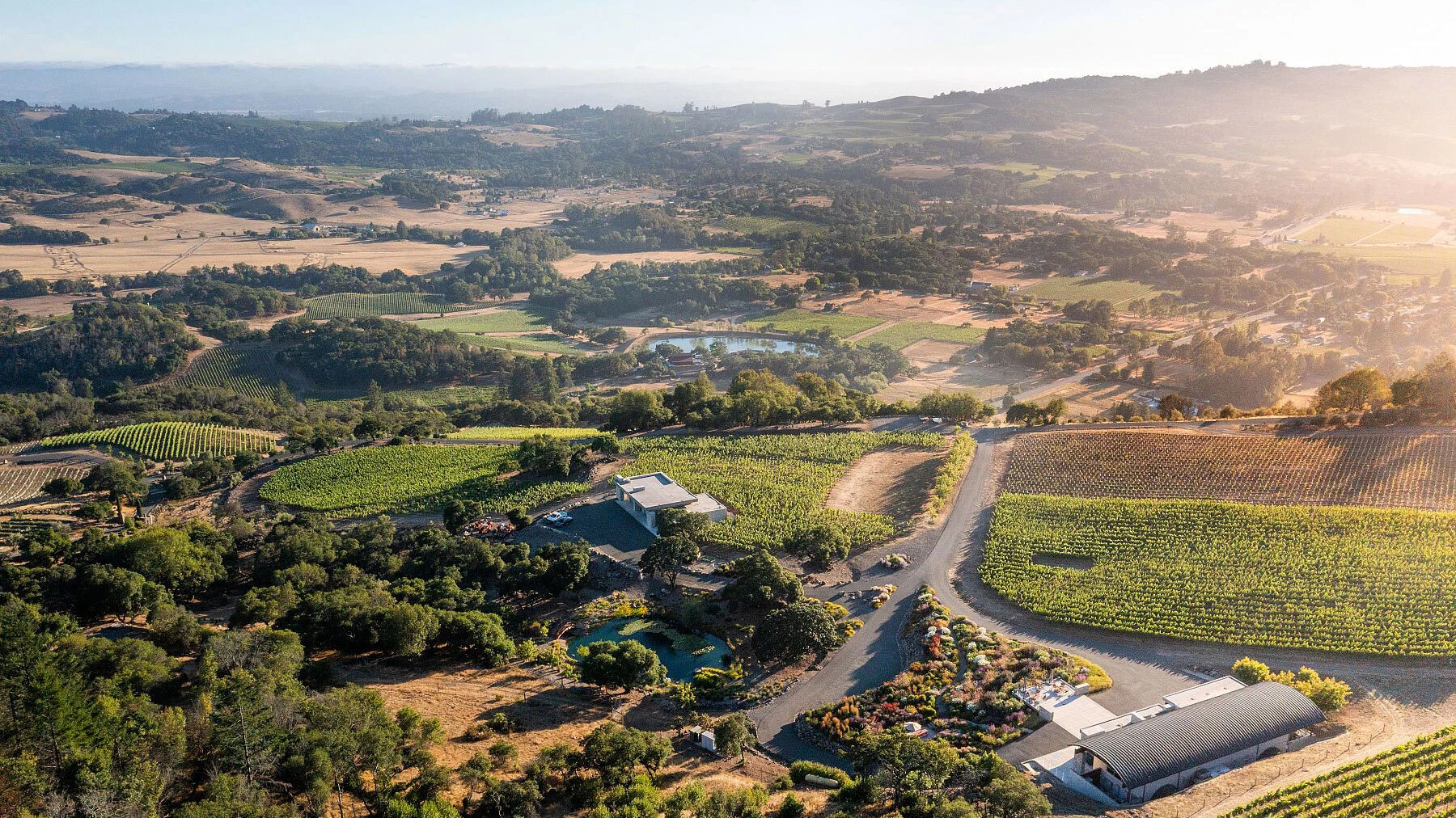 Aerial view of Patland vineyards and estate