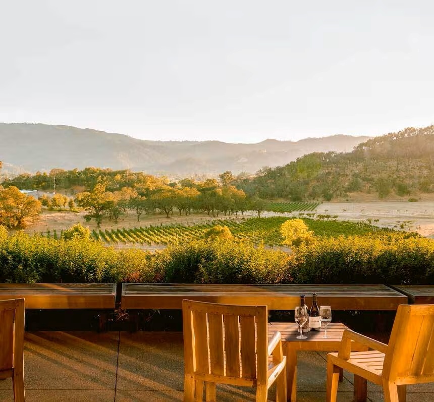 Joseph Phelps Vineyards estate vineyards in Napa Valley