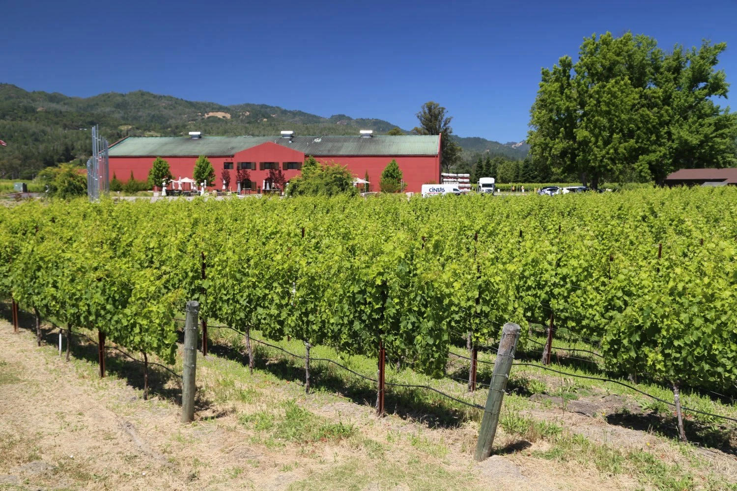 Provenance vineyard and Cabernet country