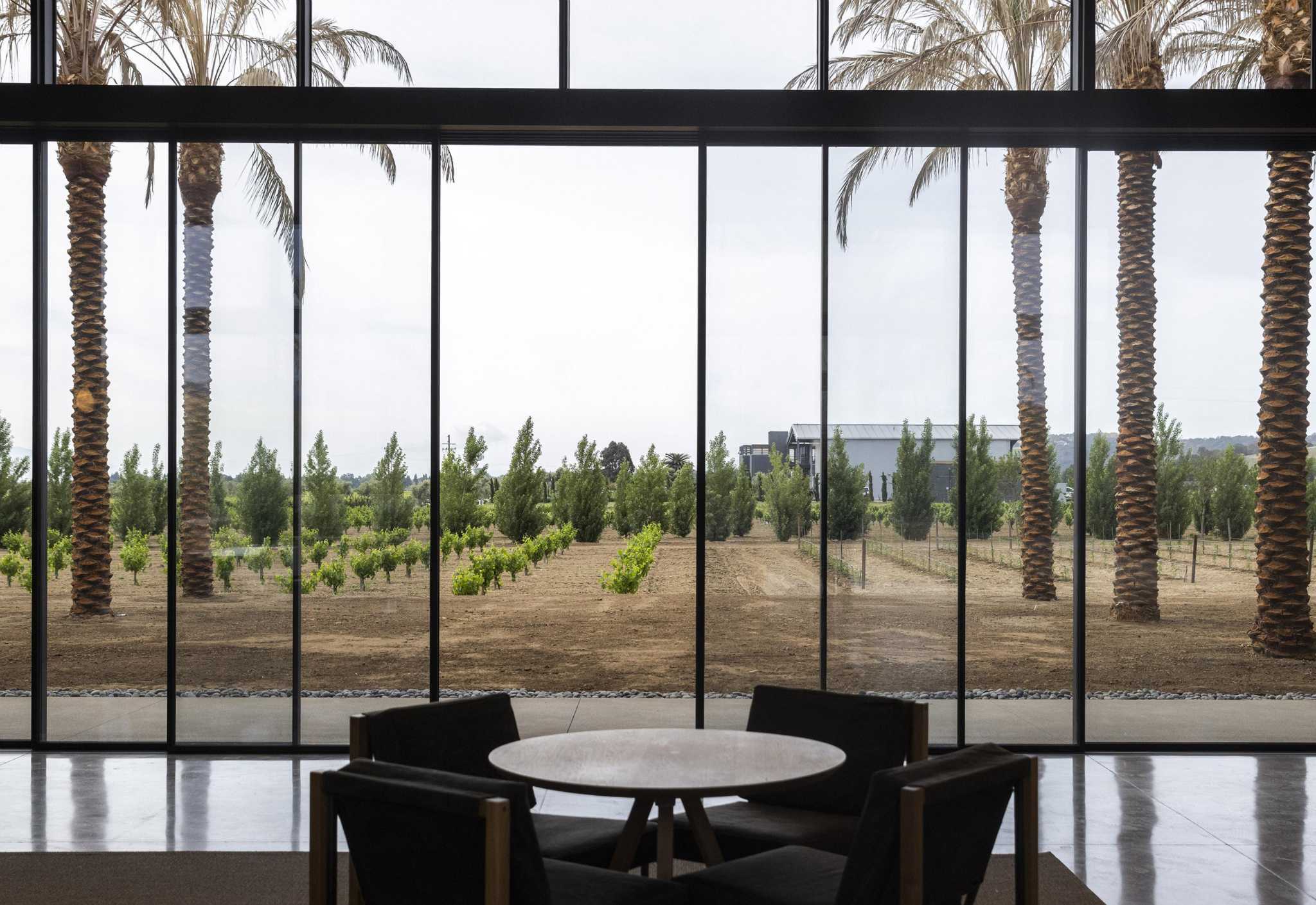 Wagner family winemaking and cellar context