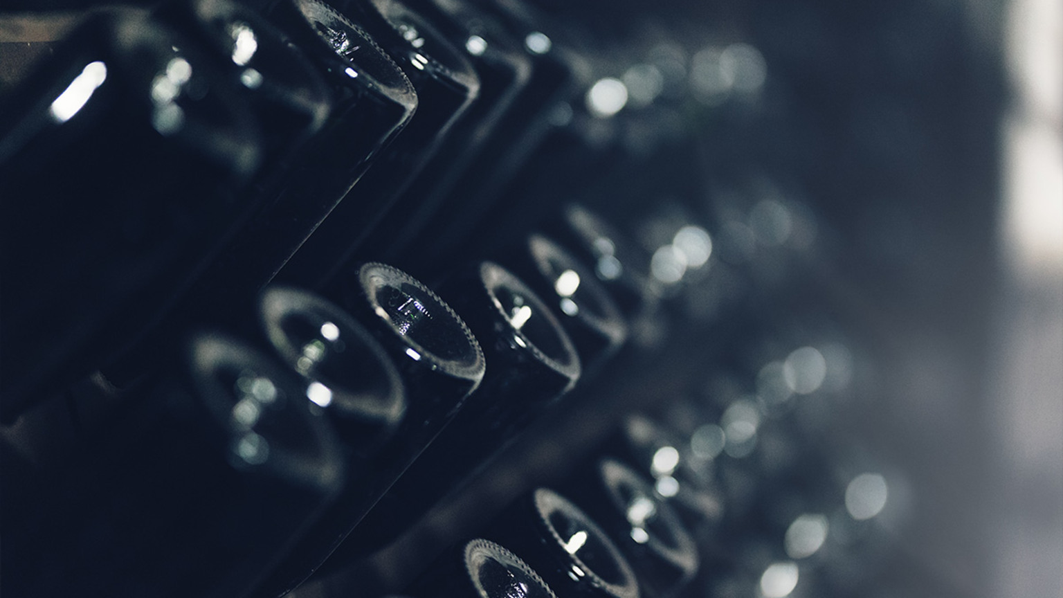 Royal Prince bottles resting in a dark cellar rack