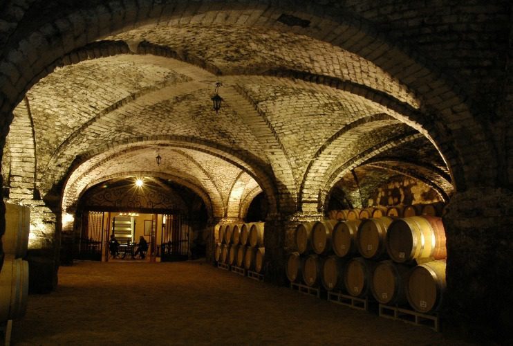 Cellar vessels at Viña San Pedro