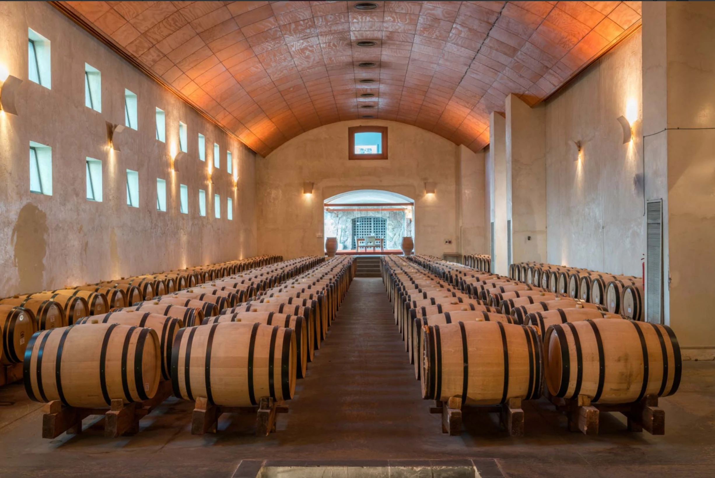 Andean vineyard country for Altair