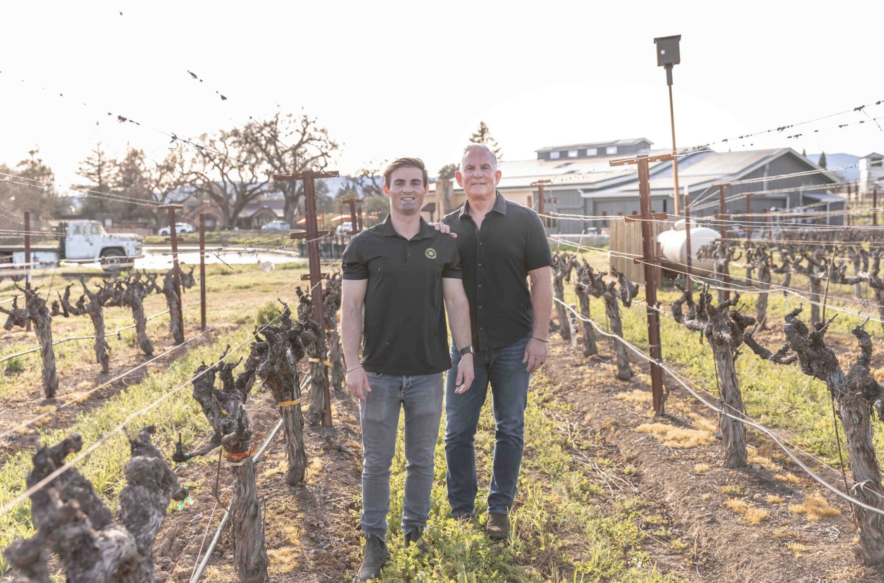 Reynolds Family Winemakers