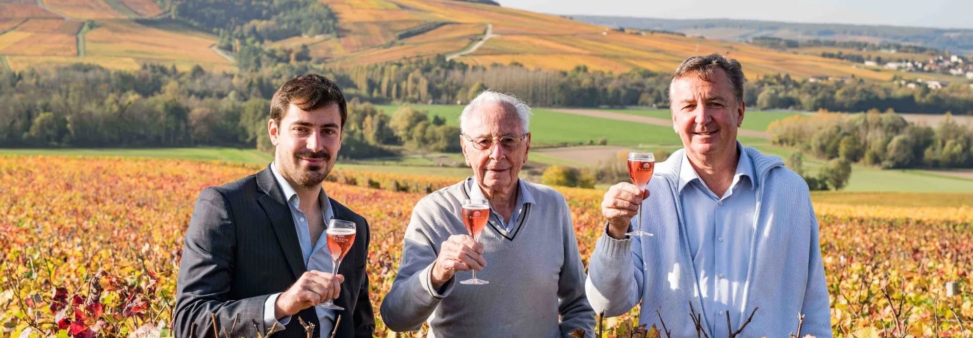 Champagne Tassin vineyard in the Cote des Bar