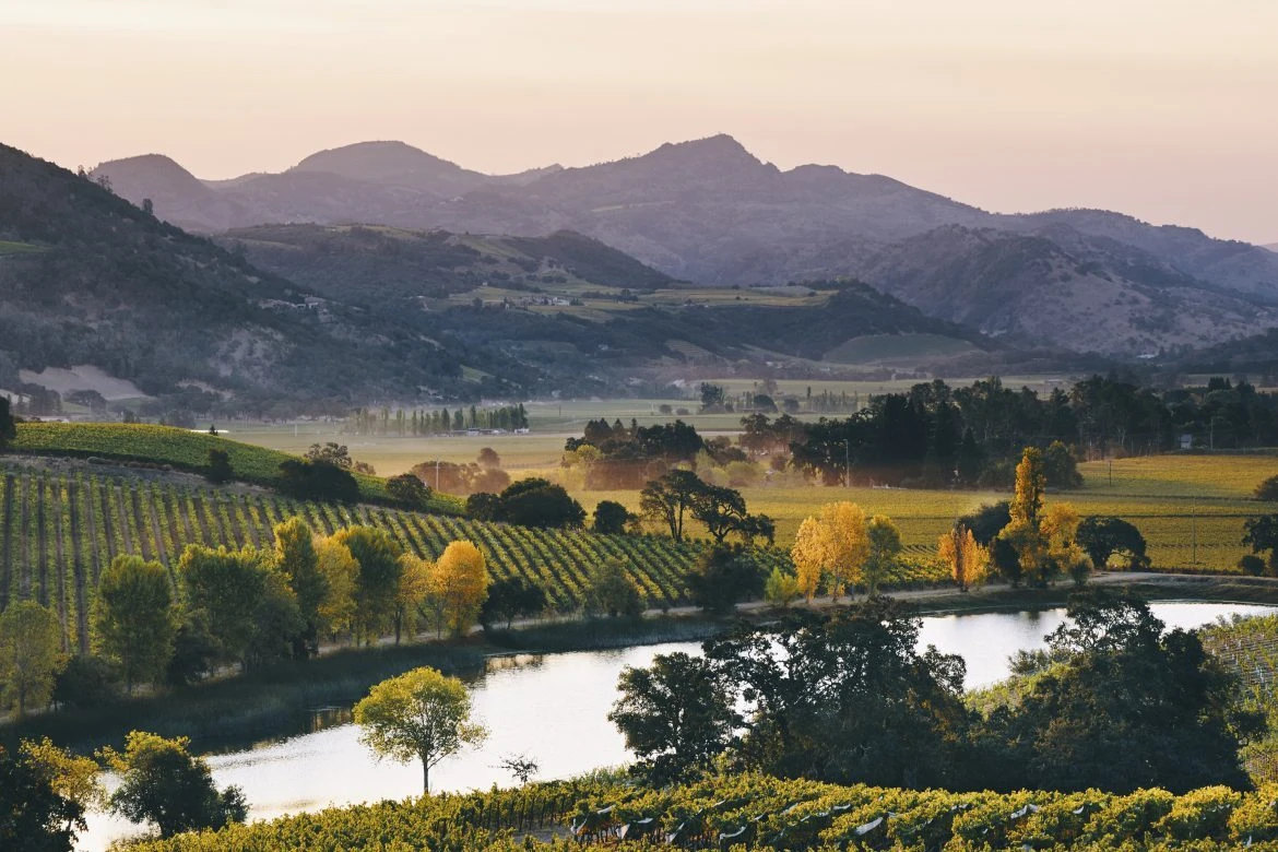 Quintessa estate valley view in Rutherford