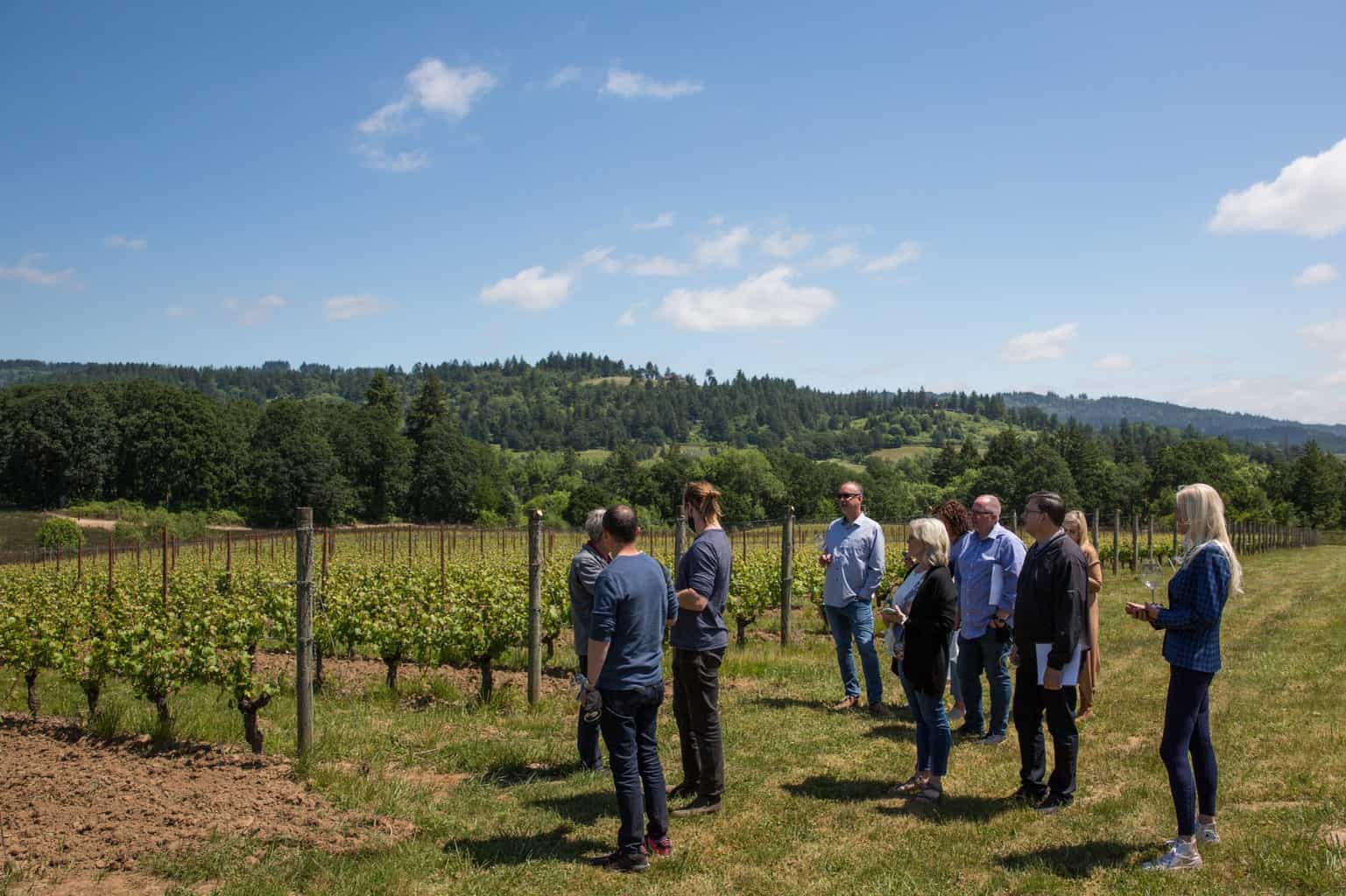 Fullerton Vineyard Tour