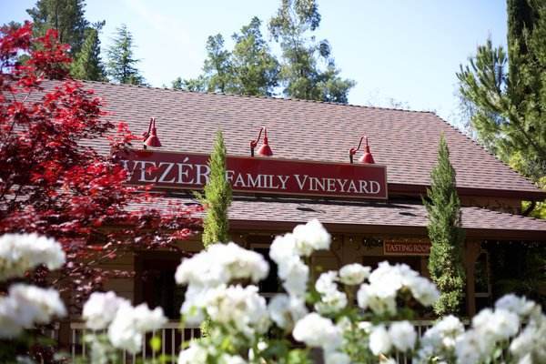 Vezer tasting room