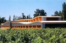 Vina Almaviva vineyard in Puente Alto
