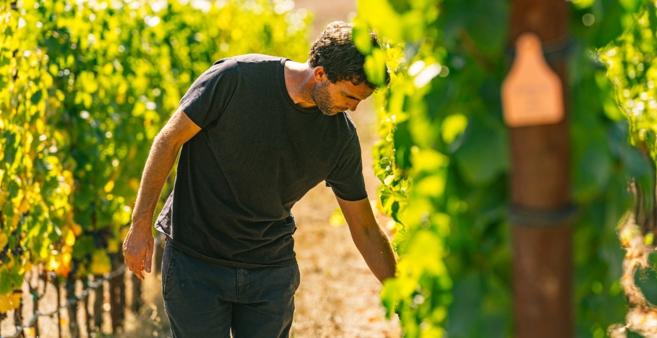Waypoint Wines Journey