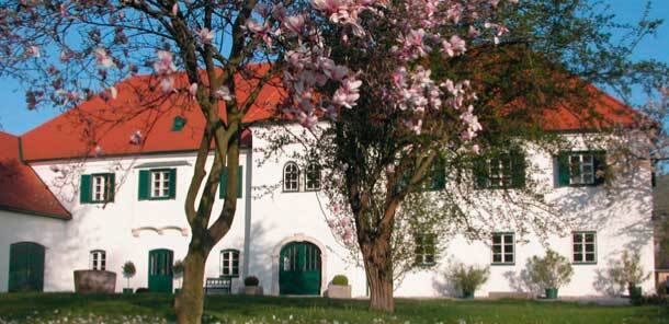 Weingut Prager Vineyard