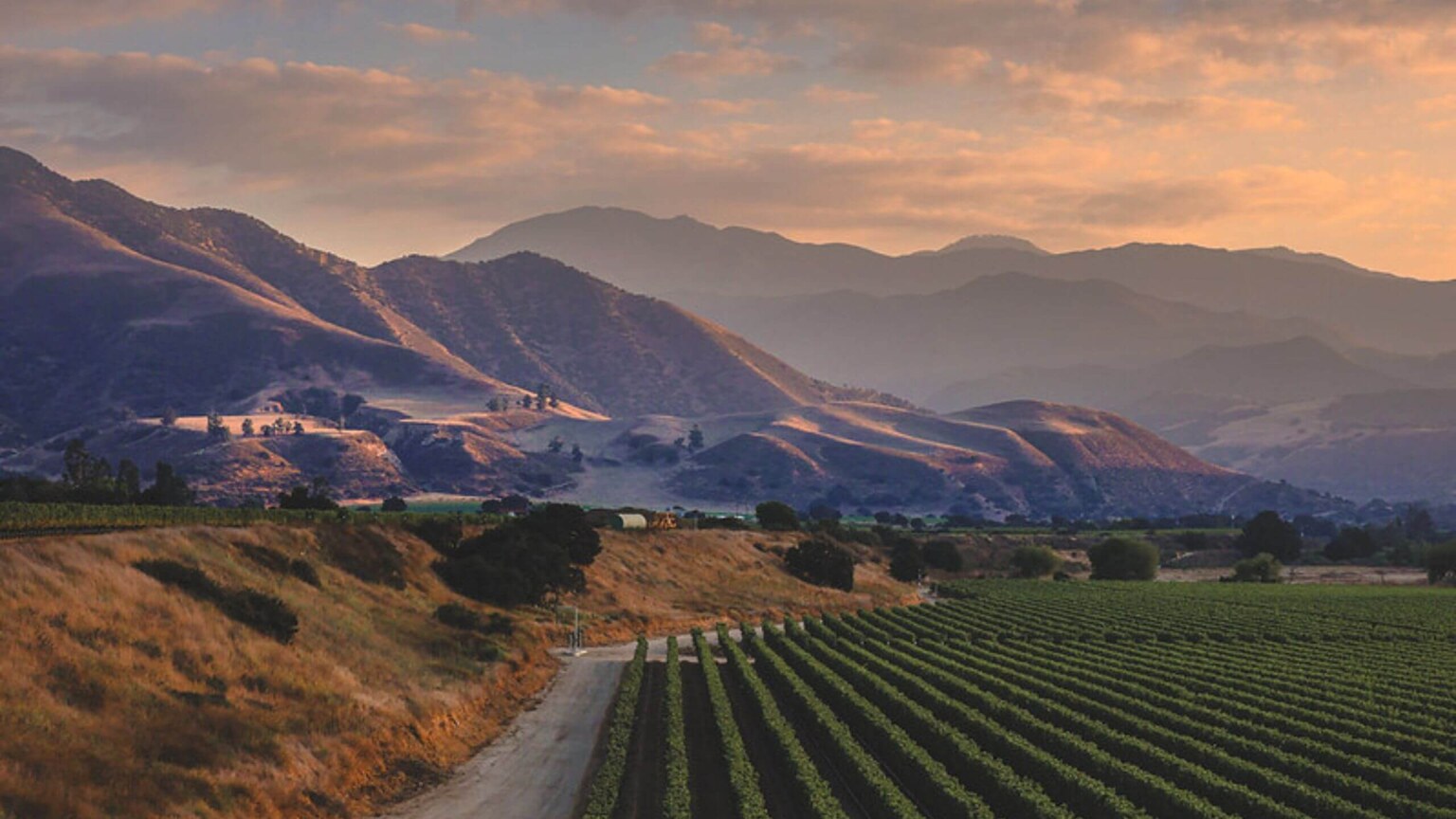 Carmel Valley vineyard landscape at sunset