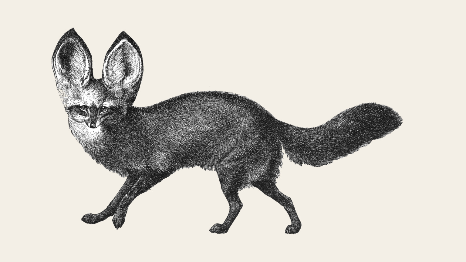 Fox artwork inspired by The Fox and the Stork