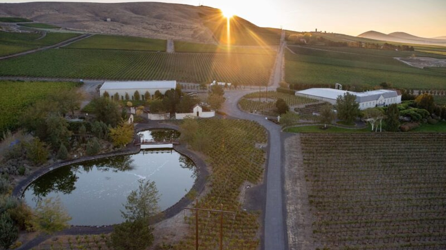 Aerial photograph of Hedges Family Estate on Red Mountain
