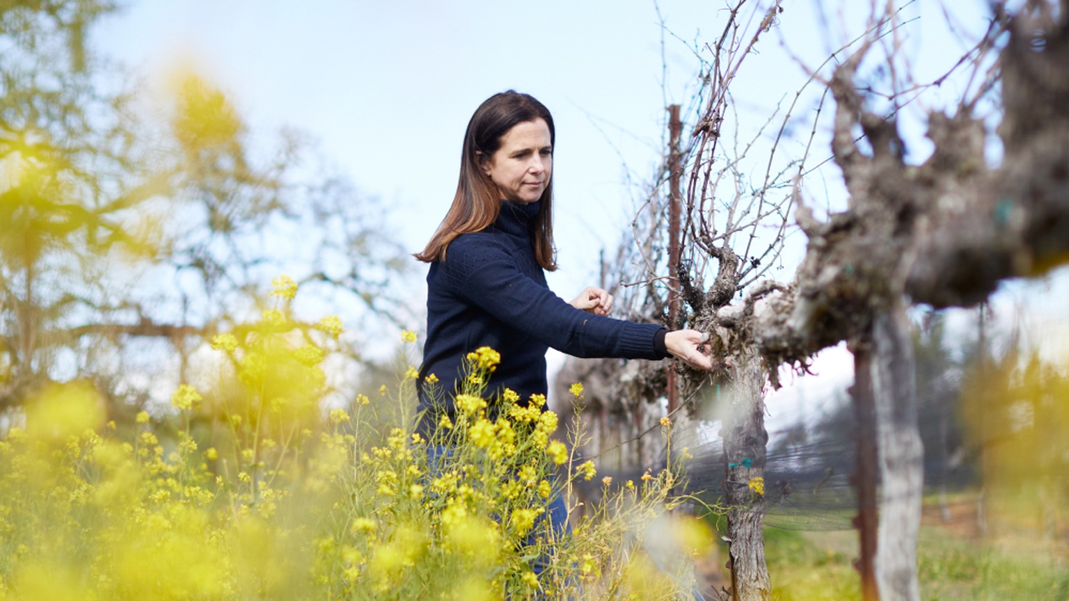 Nicole Hitchcock, winemaker at J Vineyards