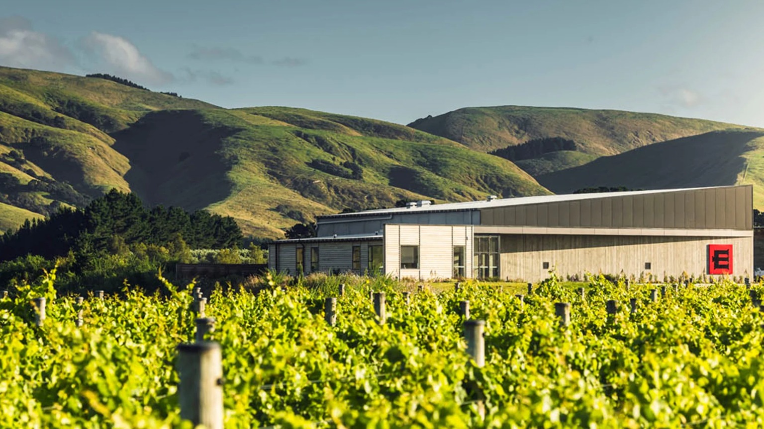 The Escarpment winery building among the Martinborough vines