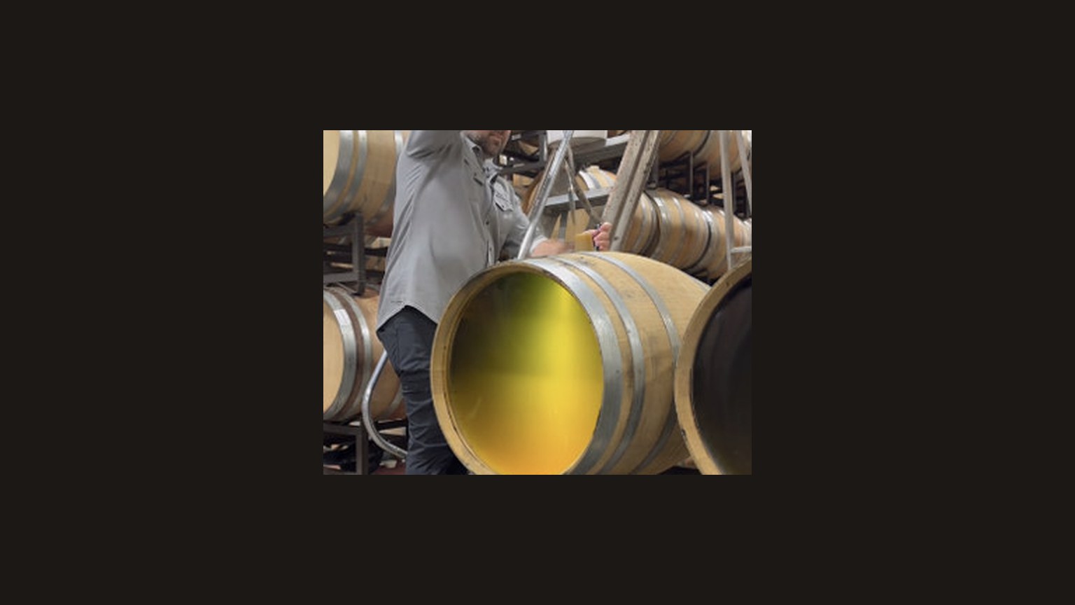 A barrel of yellow wine being sampled in a cellar.