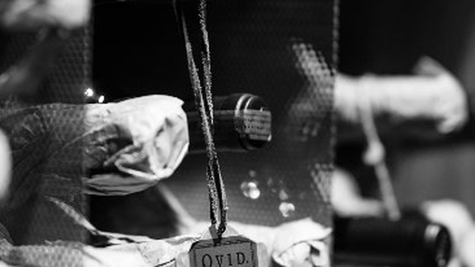 Tissue-wrapped bottles lying in an Ovid cellar rack, with an Ovid tag