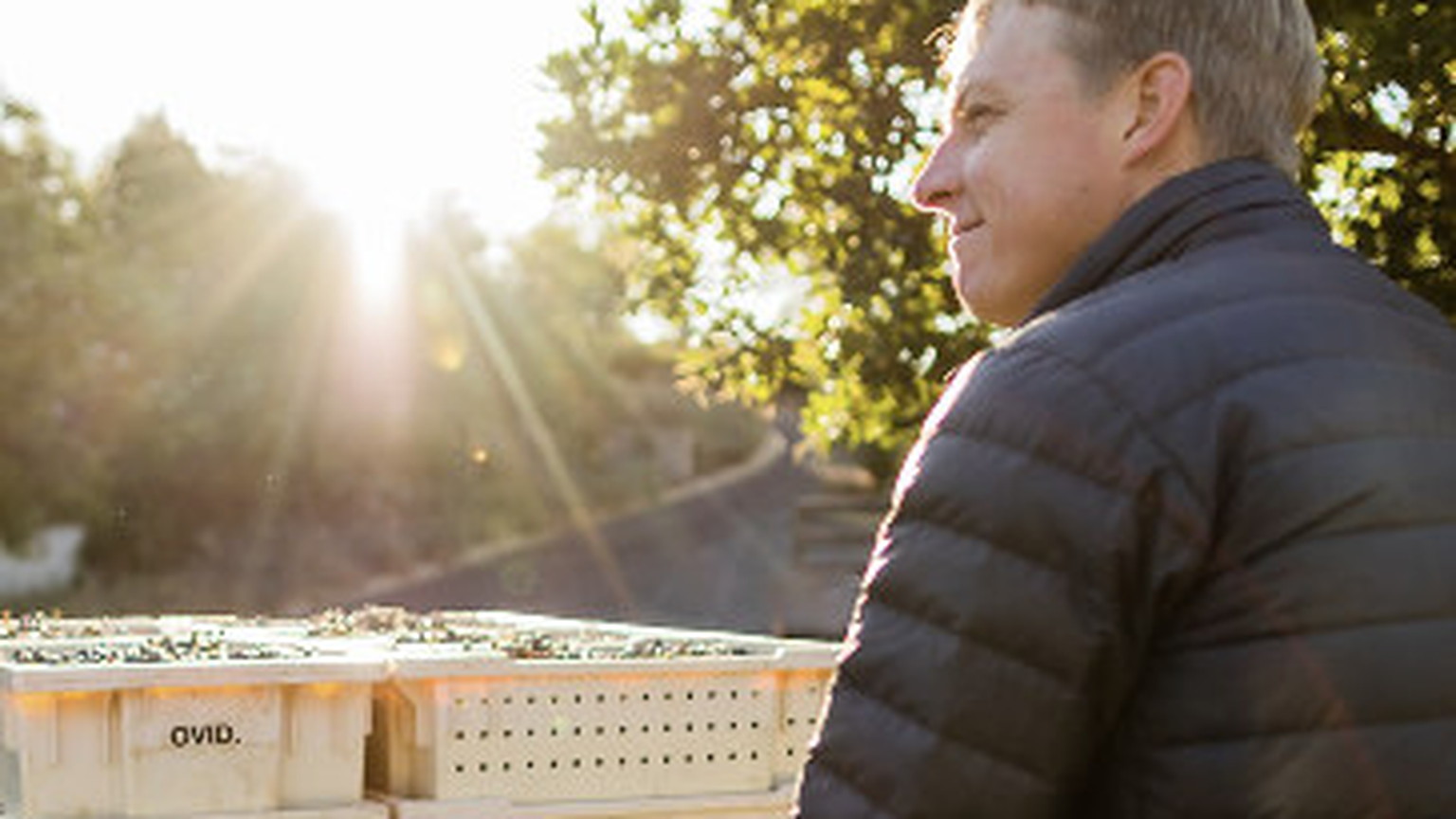 Austin Peterson beside stacked Ovid fruit lugs in late-day sun