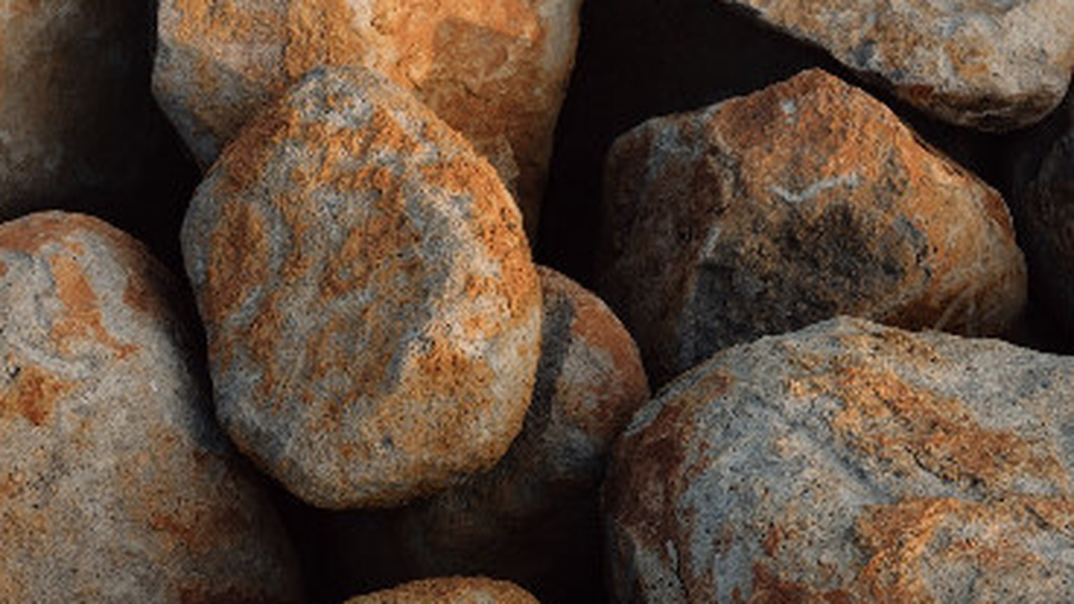 Volcanic rocks with orange lichen, the kind of stone under the Ovid vineyard