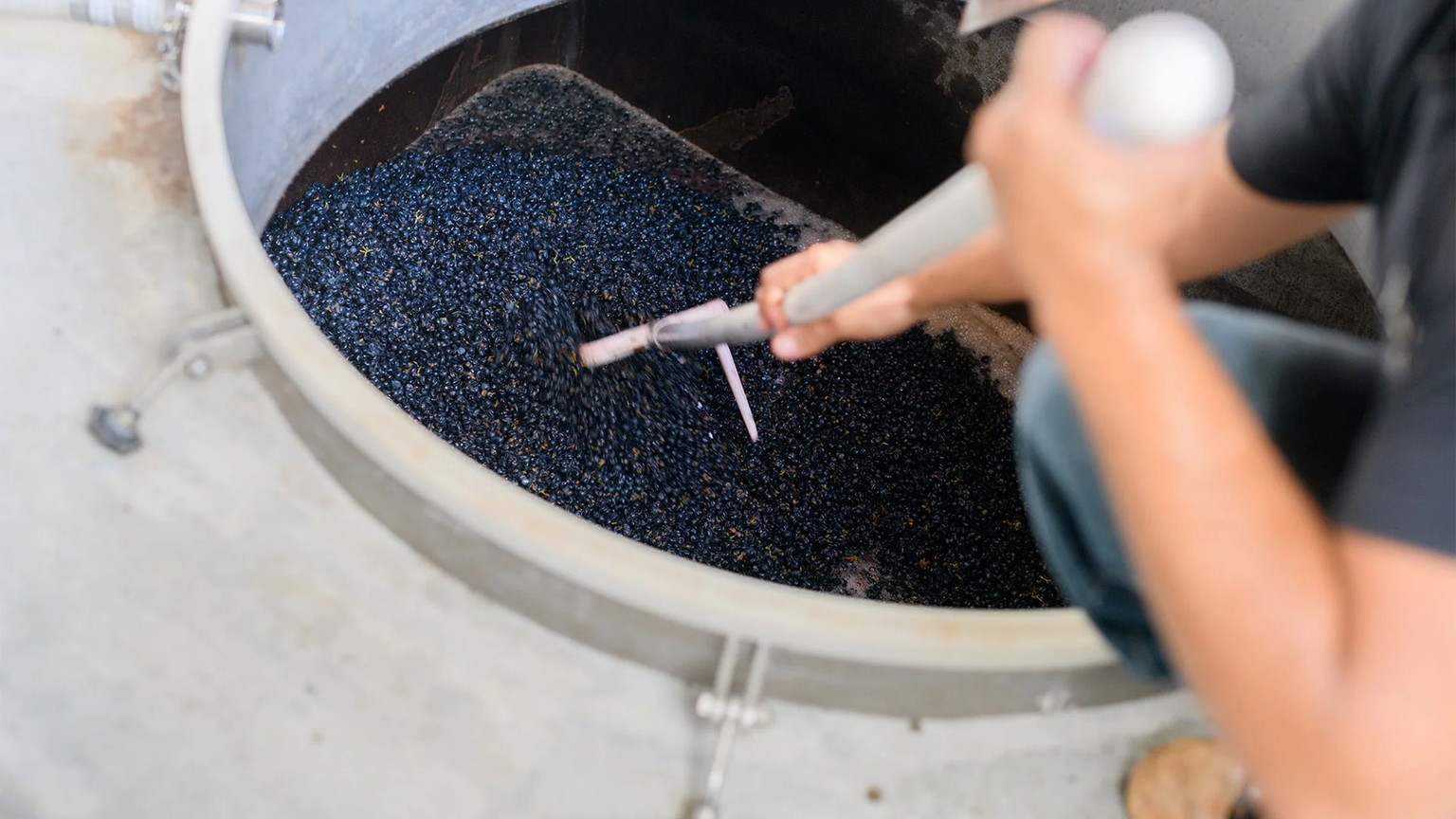 A fermenter of dark grapes during a pump-over at Ovid