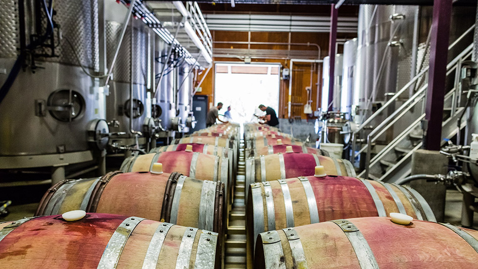 Barrels in a Twomey winery room