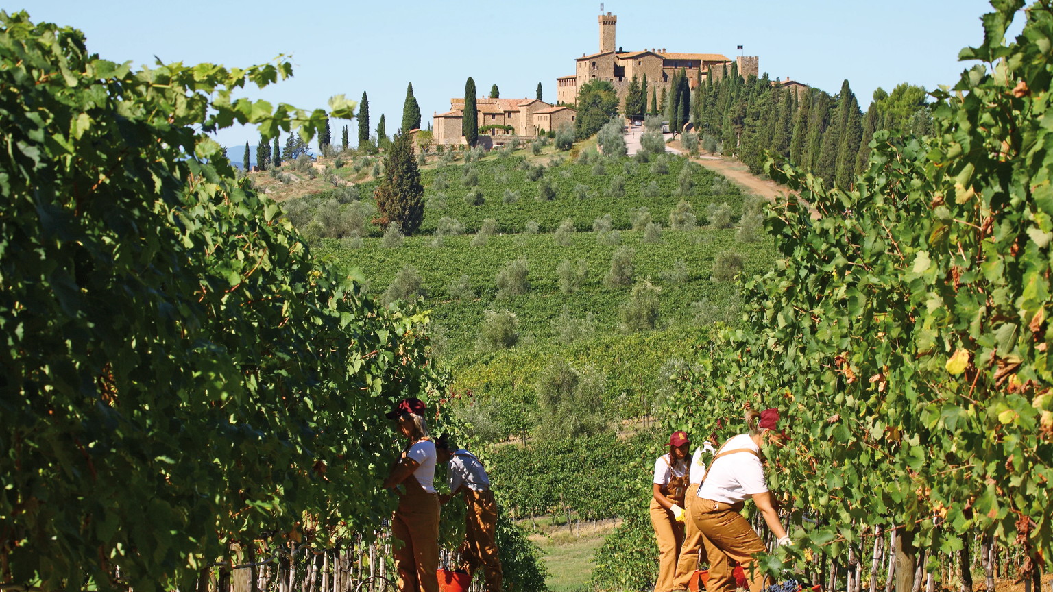 Castello Banfi
