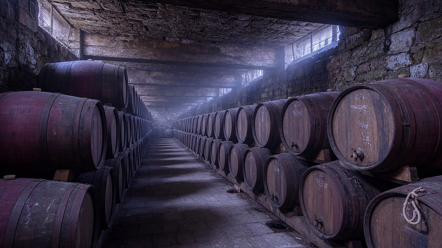French oak barrels in a dim cellar aisle, generated scene
