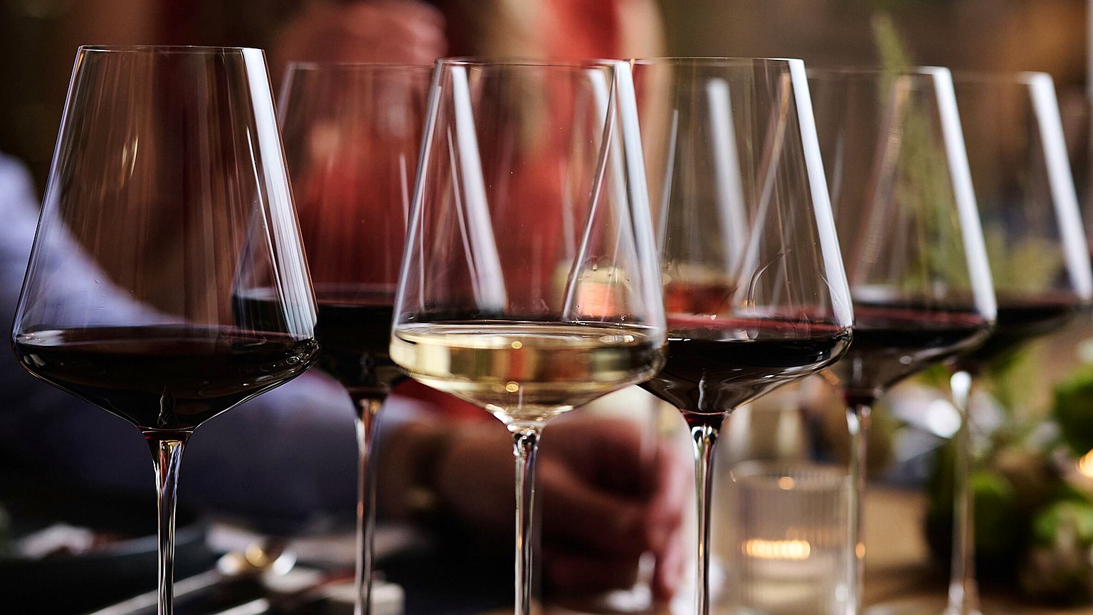 Darioush tasting glasses of red and white wine at the estate table