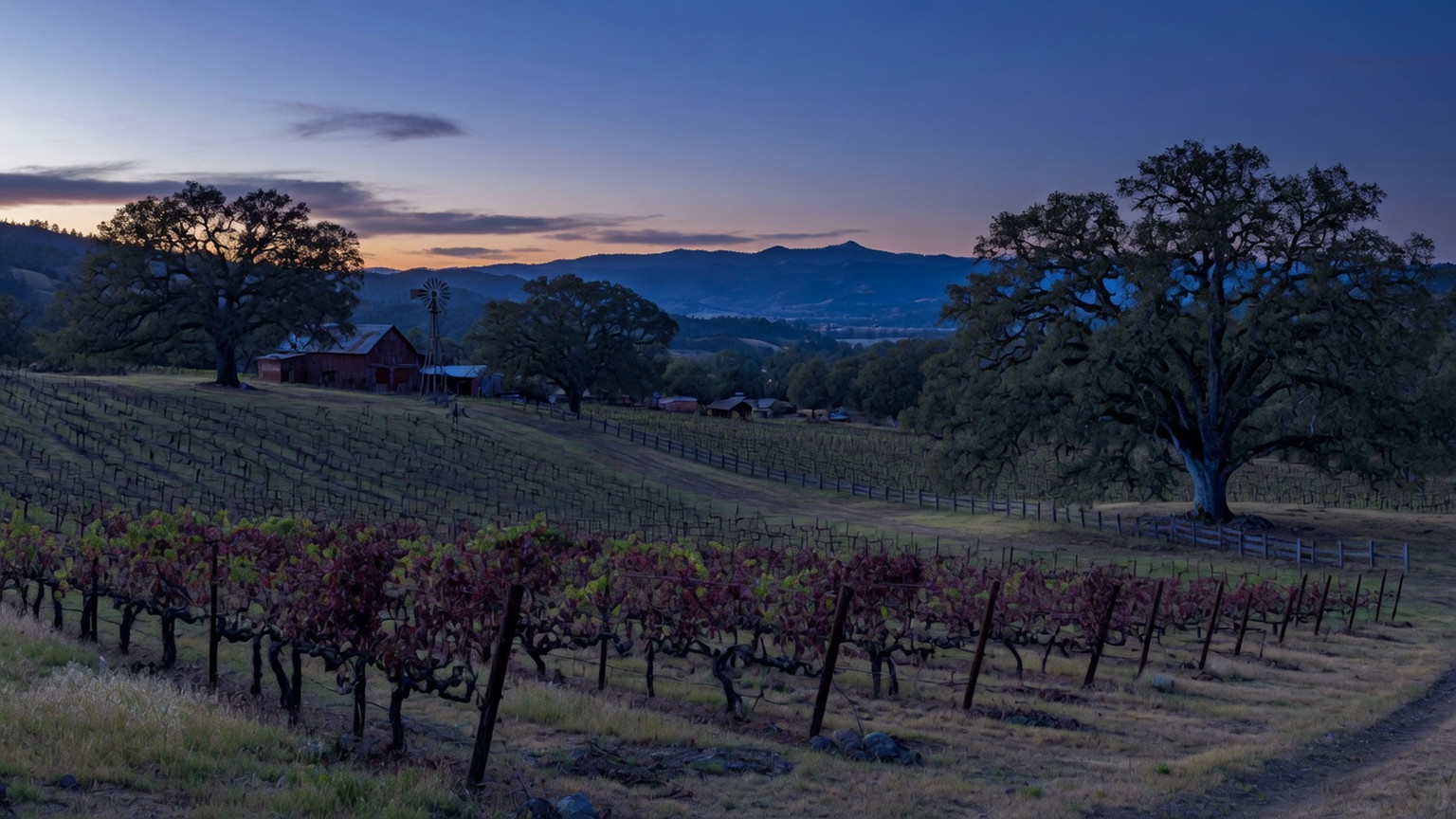St. Helena Napa ranch and vines at dusk, generated scene