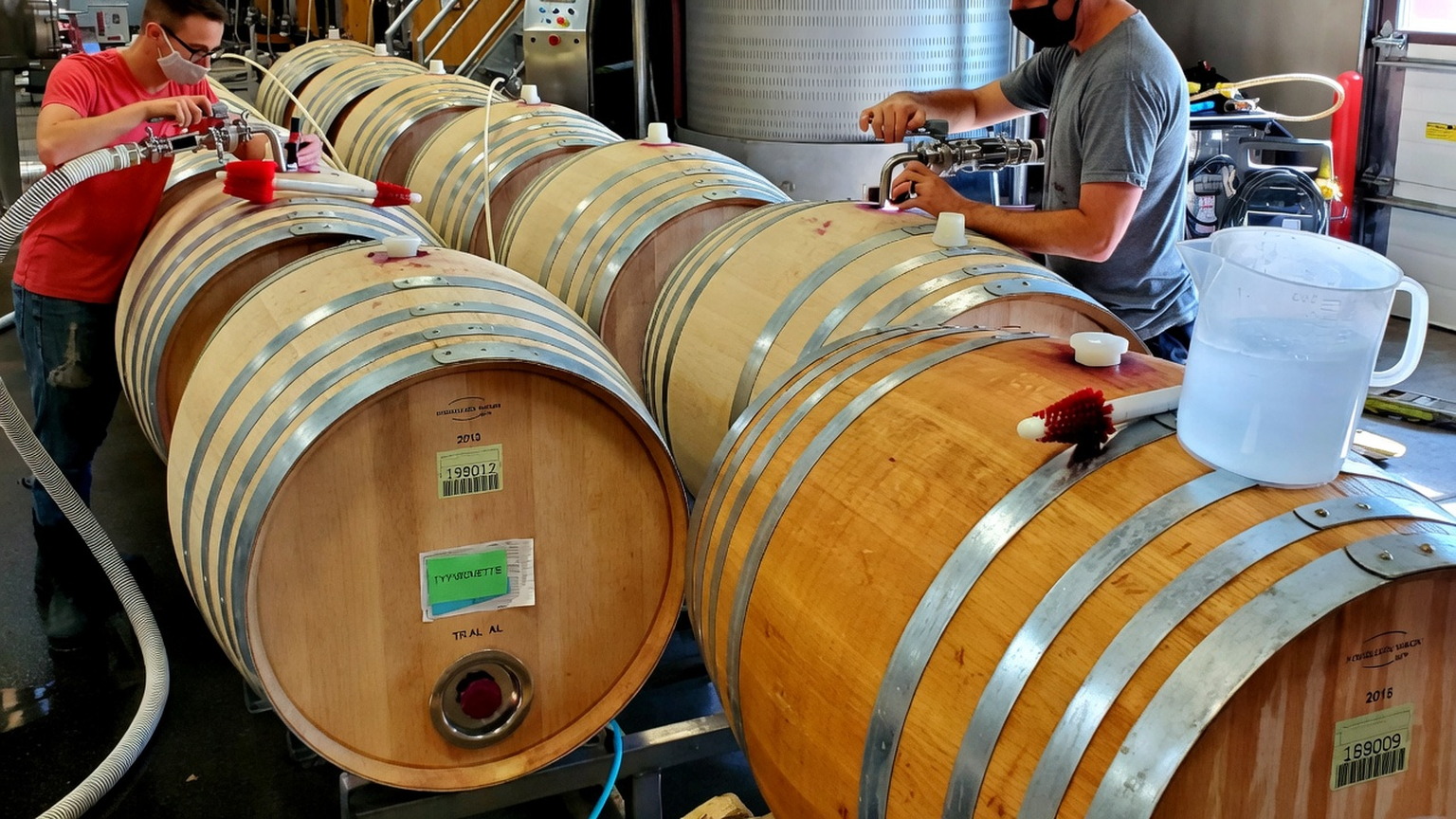 Filling French oak barrels at the Long Shadows winery