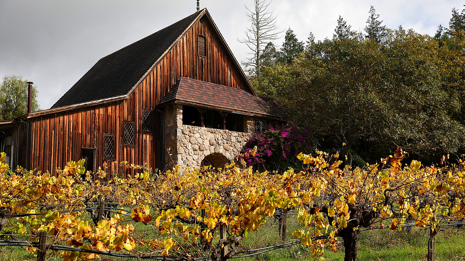 The 1956 Hanzell heritage winery and fall Pinot vines on the Mayacamas