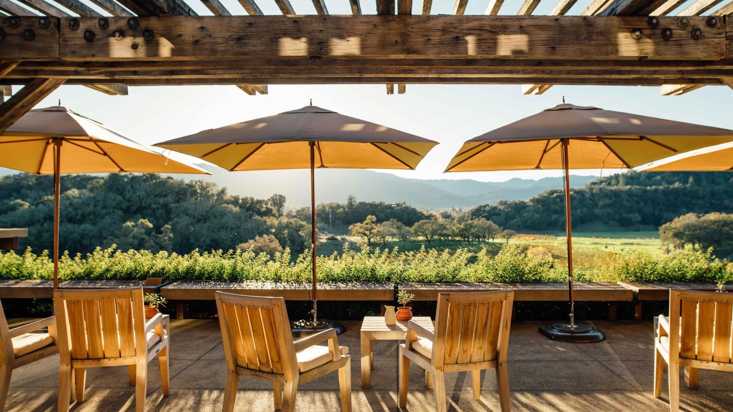Joseph Phelps Vineyards terrace overlooking Napa Valley