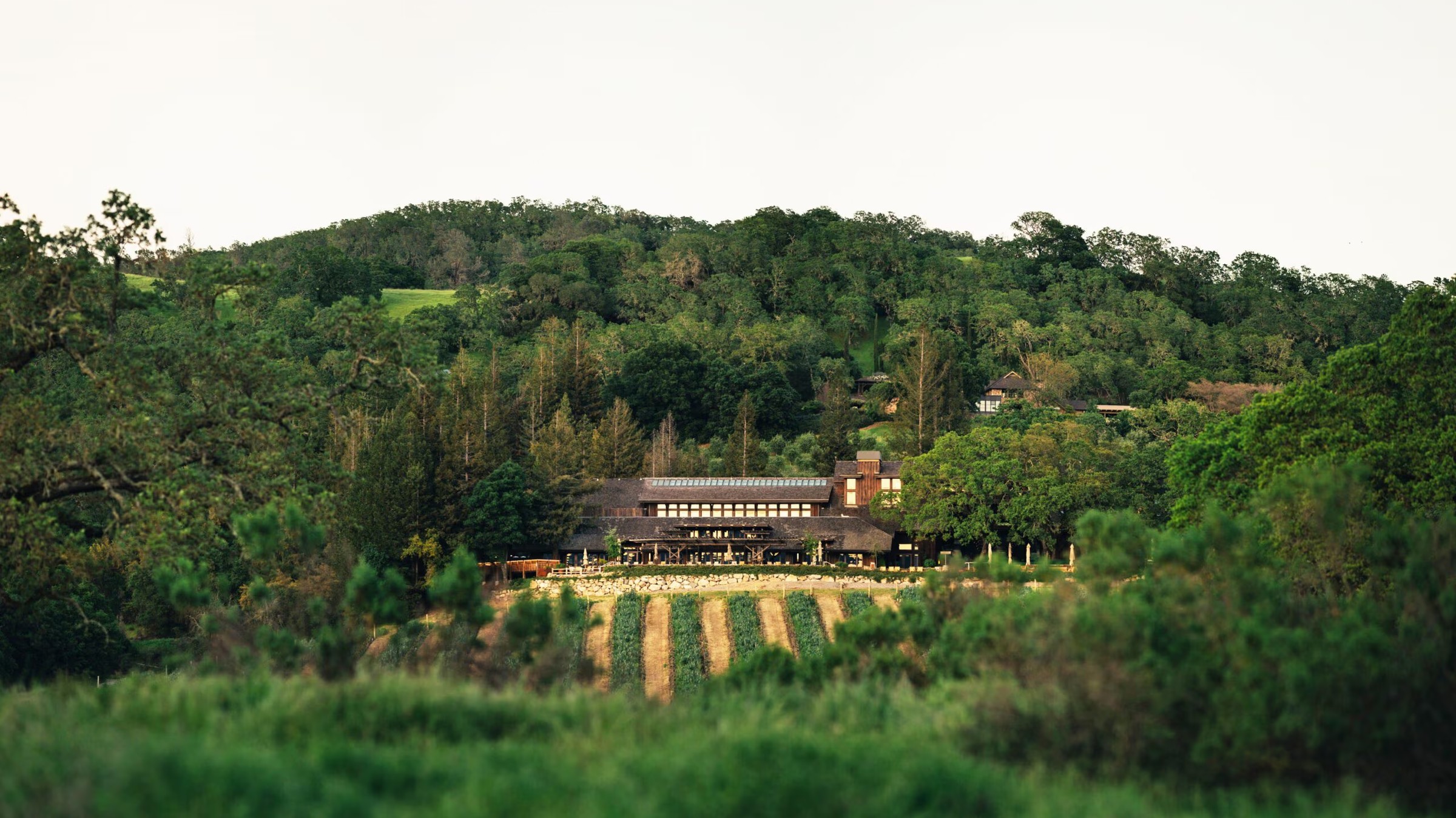 Joseph Phelps Vineyards estate in St. Helena, Napa Valley