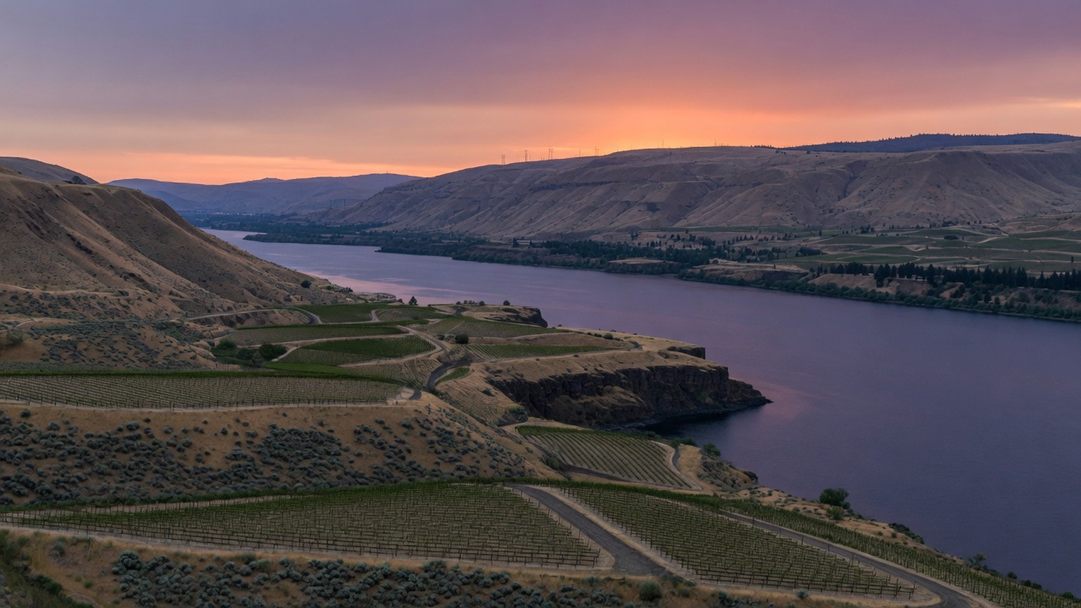 Columbia River and eastern Washington vineyard benches at dusk, generated scene