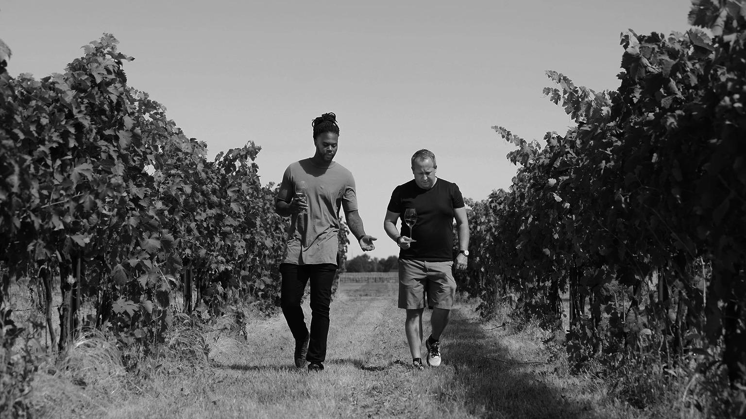 Dossier, official winery photograph